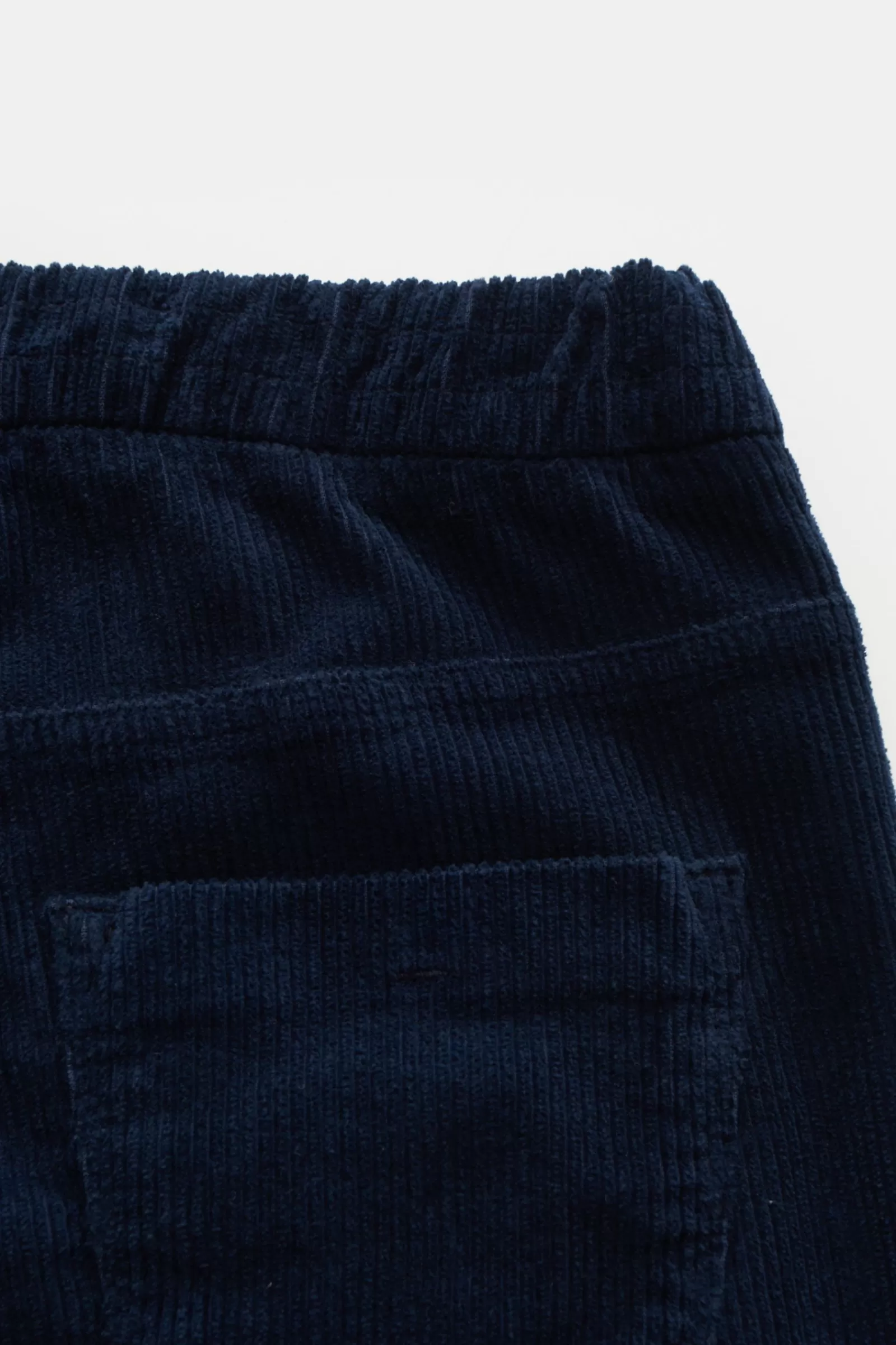 Corduroy Jogger Pants Navy>Ace Denim Hot